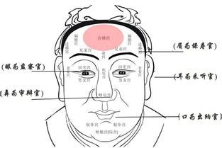 人中明顯面相|面相大全——人中